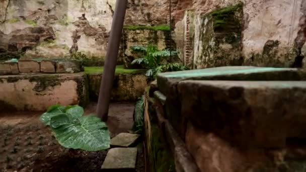 Inside of old ruins and bells in Guatemala — Stock Video