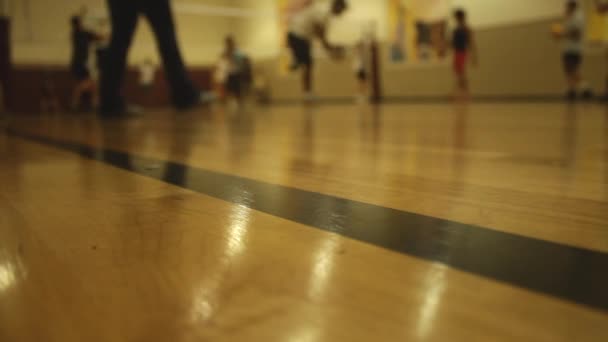 Volejbal krytý praxi na dřevěnou podlahu — Stock video