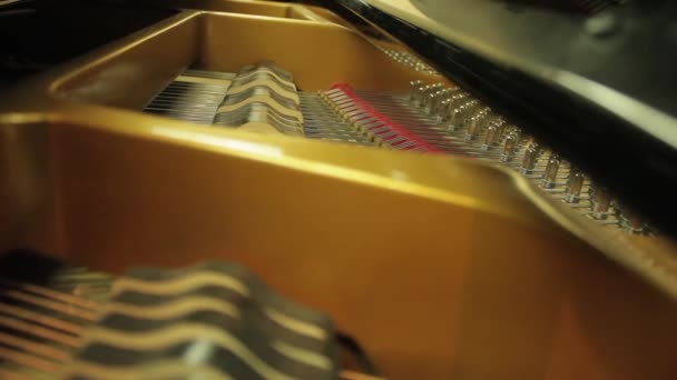Im Inneren eines klassischen Klaviers, wie es gespielt wird — Stockvideo