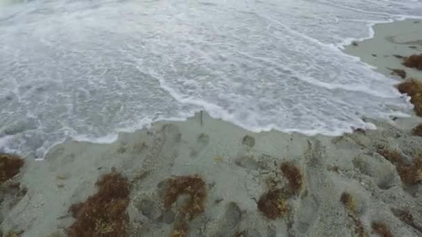 La palabra Verano siendo arrastrado por la marea en una playa — Vídeo de stock