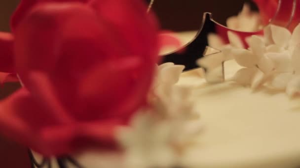 Red petals and the number twenty-five on top of white cake — Stock Video