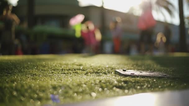 Unerkennbare Familie spielt an schönem Tag im Park mit Luftballons — Stockvideo