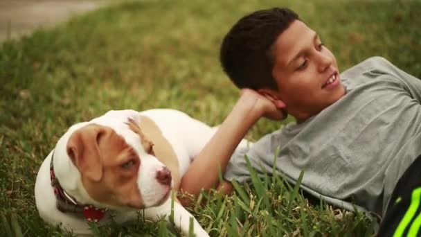 Schattige jongen vaststelling in gras met schattige hond — Stockvideo