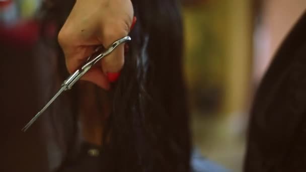 Стилист стрижет волосы у женщины — стоковое видео