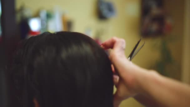 Primer plano de las manos del estilista de cabello femenino cortando el cabello — Vídeos de Stock