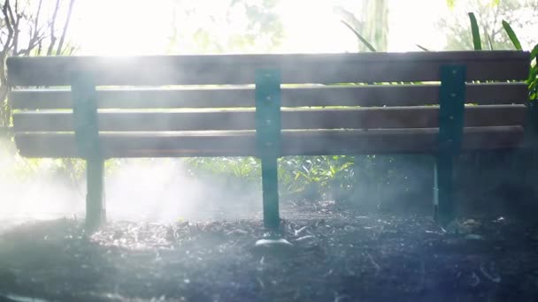 Холодный снимок скамейки в джунглях или лесу с дымом и отличным освещением — стоковое видео