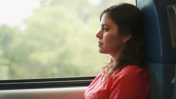 Hermosa mujer mirando pensativo dentro de un tren — Vídeo de stock