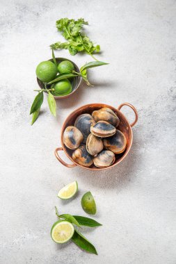 Çiğ midye, kabuklu deniz ürünleri, Coriandr pişirmek için malzemeler, bira ve limon, gri arka planda, Cooper kasesinde.