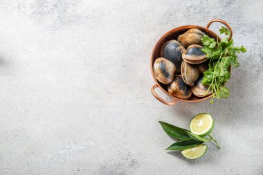 Çiğ midye, kabuklu deniz ürünleri, Coriandr pişirmek için malzemeler, bira ve limon, gri arka planda, Cooper kasesinde.
