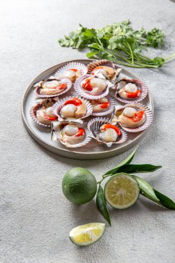 Deniz ürünleri. Kabuklu deniz ürünleri. Limonlu çiğ deniz tarağı ve gri tabakta kişniş, gri arka plan.