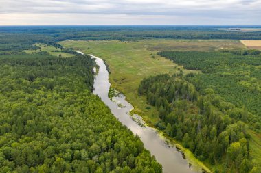 Drone hava manzaralı nehir manzarası. Yaz manzarası