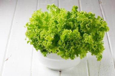 Beyaz arka plan üzerinde wihte kabın içinde marul