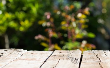 arka plan bulanık. yeşil bahçe