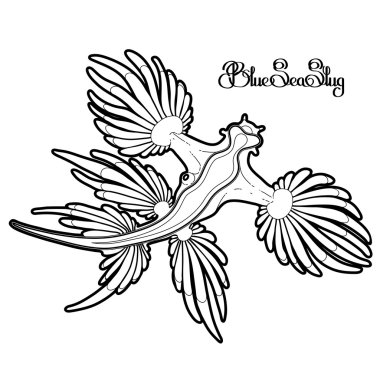 Graphic blue sea slug