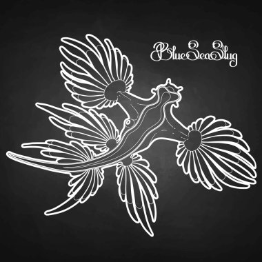 Graphic blue sea slug