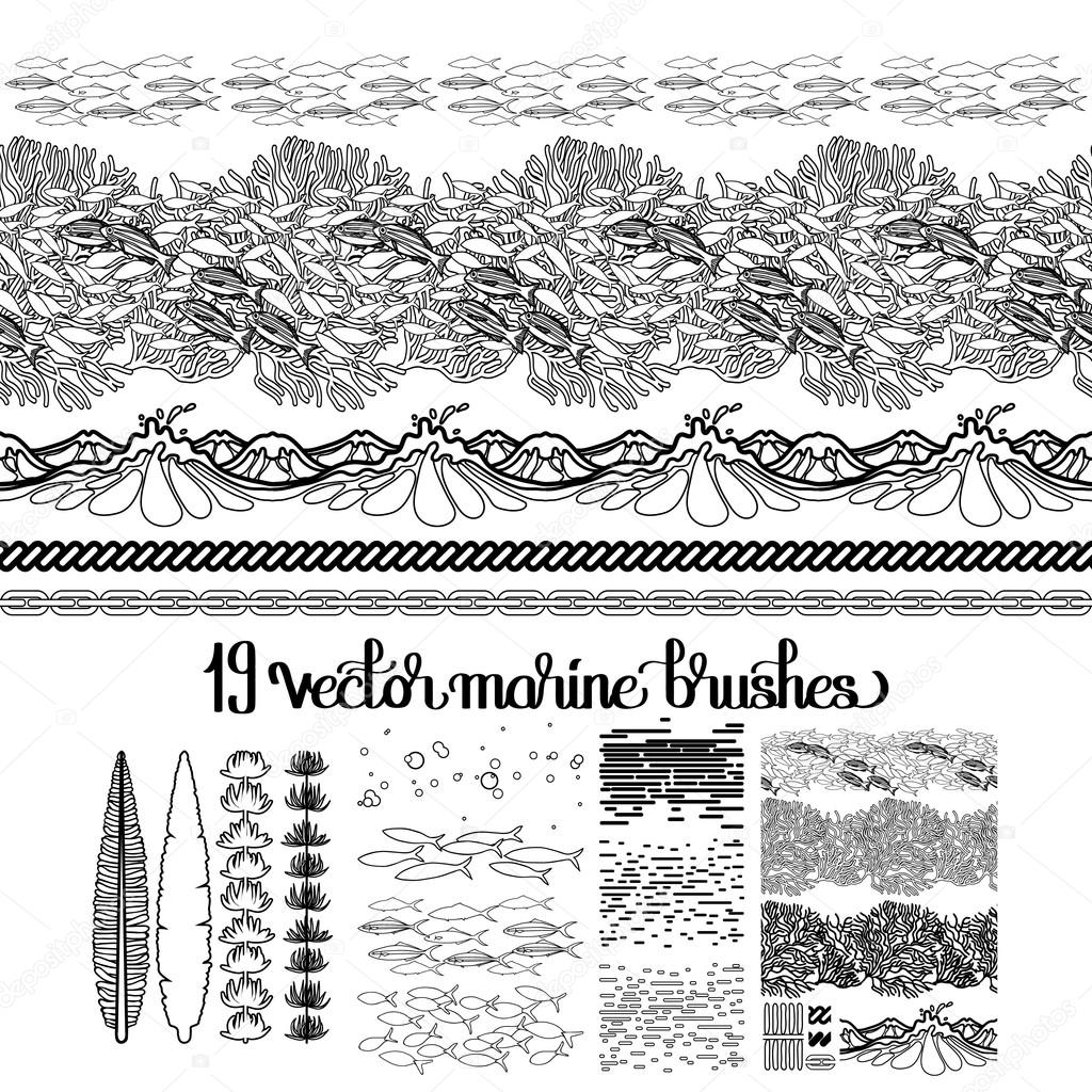 Collection of ocean brushes