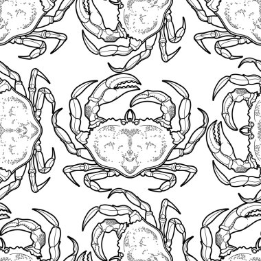 Grafik vektör yengeç desen