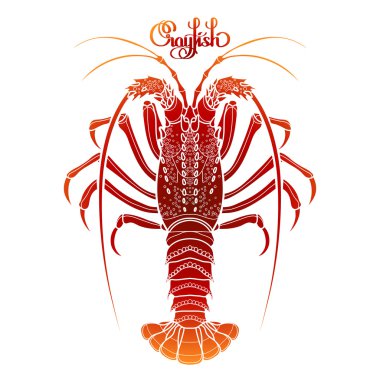 Graphic vector crayfish clipart