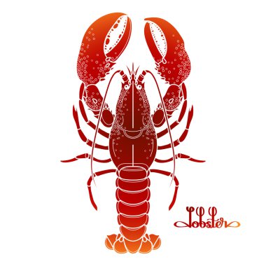 Graphic vector lobster clipart