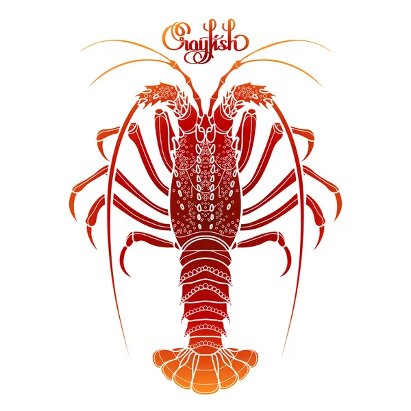 Graphic vector crayfish - Stok Vektor