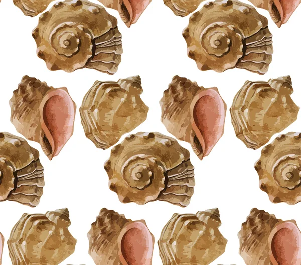 水彩贝壳图案 — 图库矢量图片
