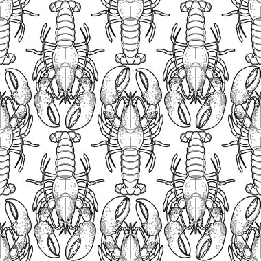 Grafik vektör ıstakoz desen