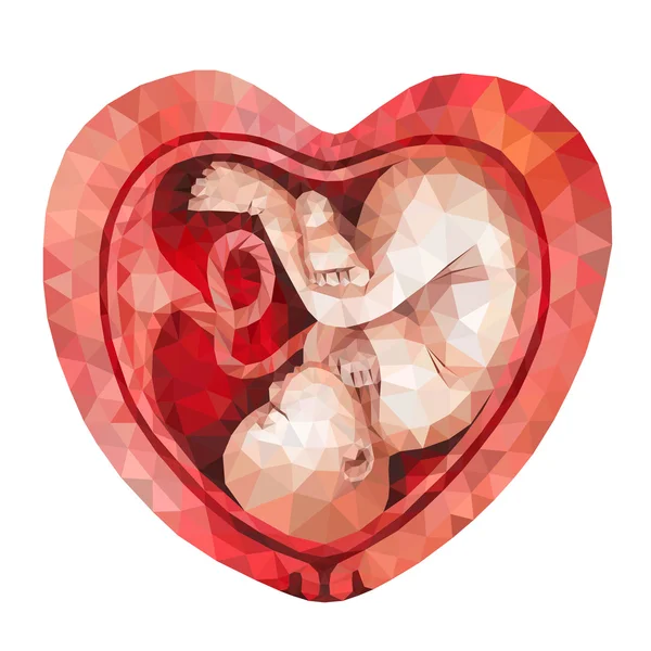 Low-Poly-Fötus im Mutterleib — Stockvektor