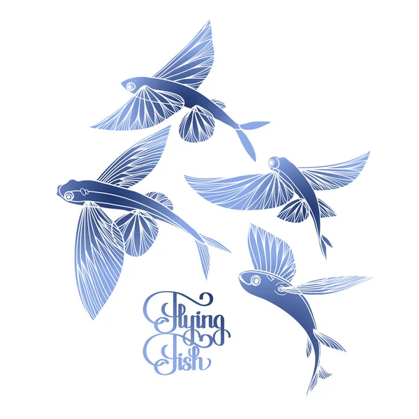 Graphic flying fish collection — 스톡 벡터