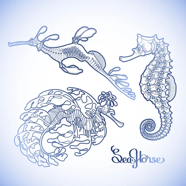 Grafische vector seahorse collectie — Stockvector