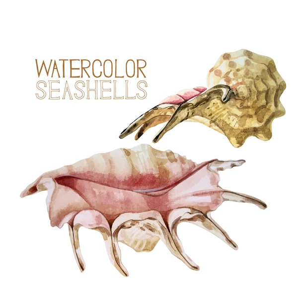 Akwarela kolekcja Seashells — Wektor stockowy