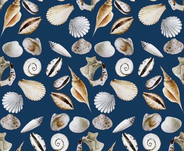 水彩貝殻とサンゴのパターン — ストック写真