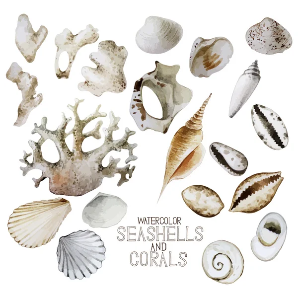 Collezione di conchiglie e coralli ad acquerello — Vettoriale Stock
