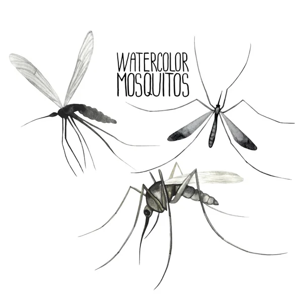 Watercolor set of mosquitoes. — Stock Vector