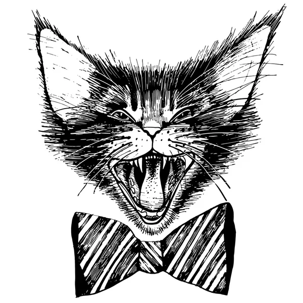 Meowing gato gráfico — Archivo Imágenes Vectoriales