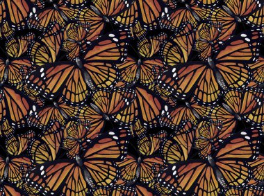 Suluboya monarch kelebek deseni