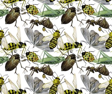 suluboya böcekler deseni