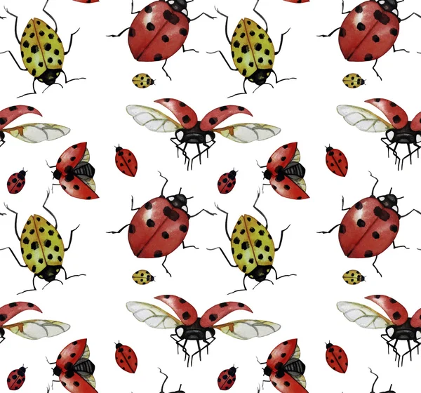 Watercolor ladybug pattern — Stock Photo, Image