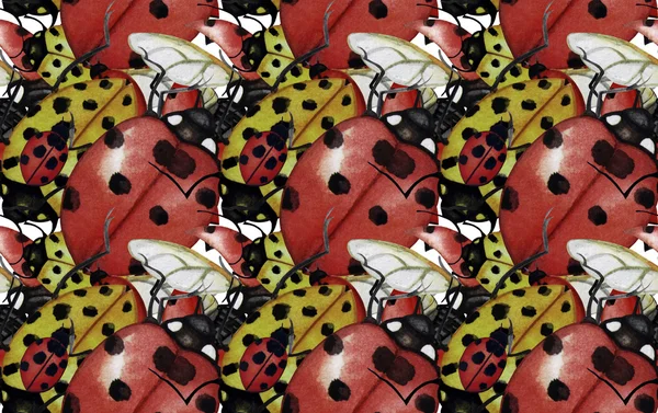 Watercolor ladybug pattern — Stock Photo, Image
