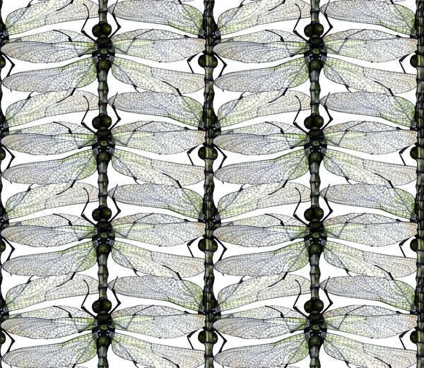 수채화 잠자리 패턴 — 스톡 사진