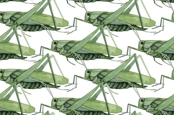 Akwarela grasshopper wzór — Wektor stockowy