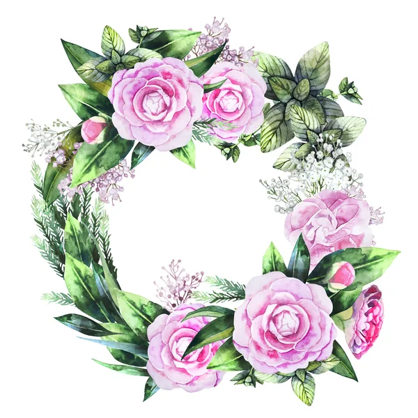 Akvarell camellia koszorú — Stock Fotó