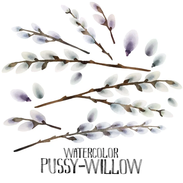 Watercolor pussy-willow set — Stockový vektor