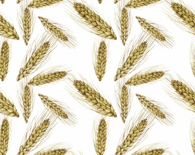 Suluboya hububat desen