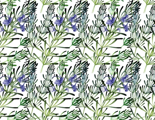 Watercolor rosemary pattern — Stock Photo, Image