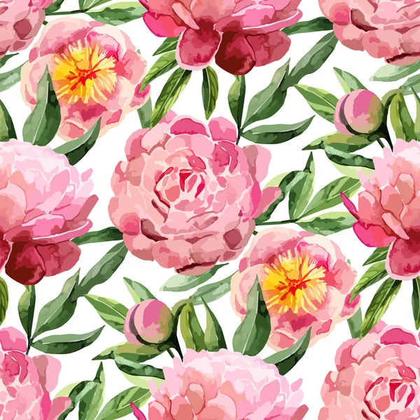 Modèle de pivoines aquarelle — Image vectorielle