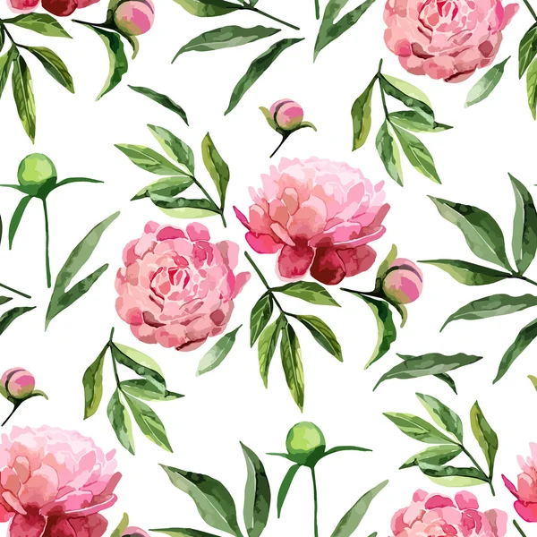 Modèle de pivoines aquarelle — Image vectorielle