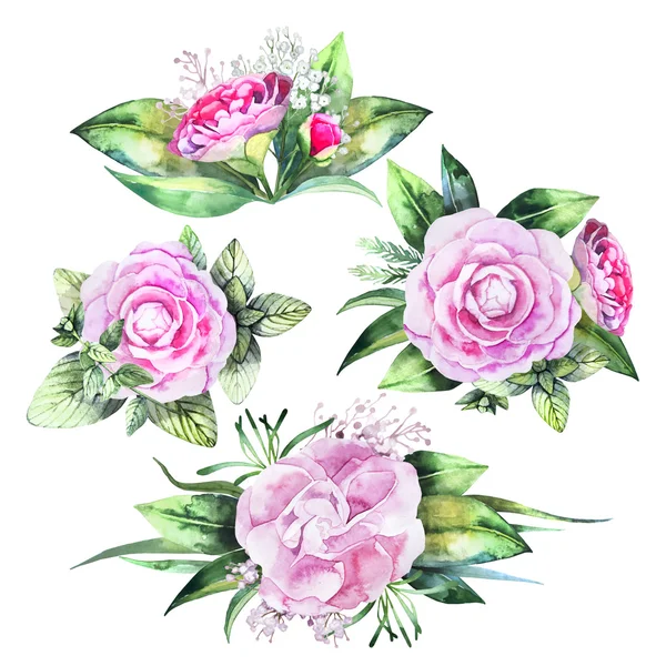 Watercolor camellia vignettes — Stock Photo, Image