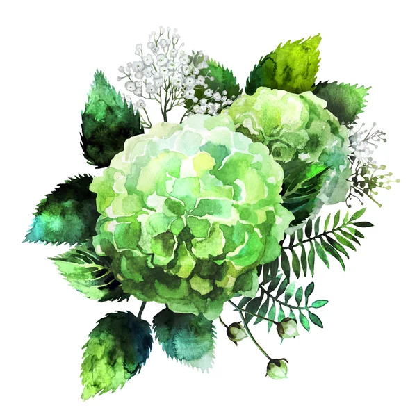 绿色水彩绣球小插图 — 图库照片