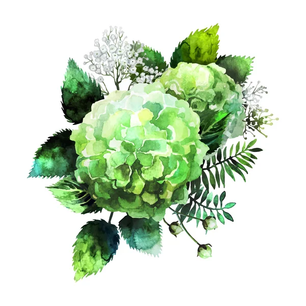 Verde acuarela hortensias viñeta — Vector de stock