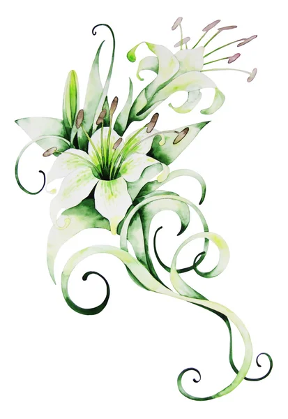 Akwarela biały Lilie — Zdjęcie stockowe